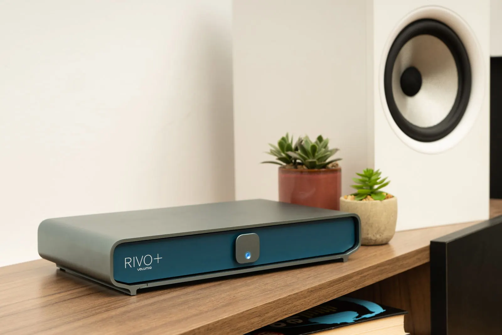 Rivo+ in the Classic finish on a wooden shelf, next to two potted succulents and a white speaker.